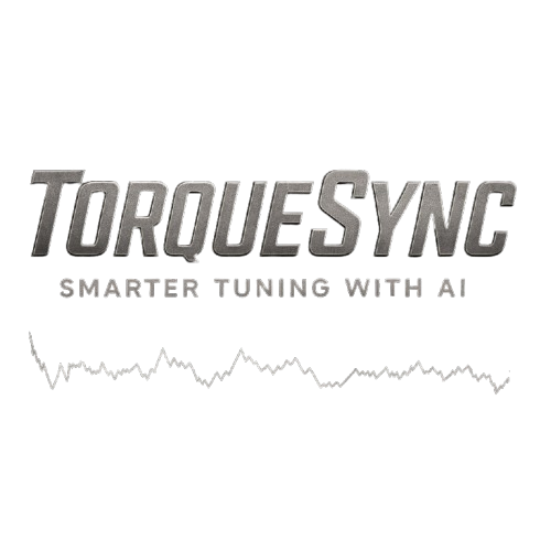 TorqueSync Logo